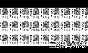 3118云顶集团A-1喷码平台一体机Technical Parameters